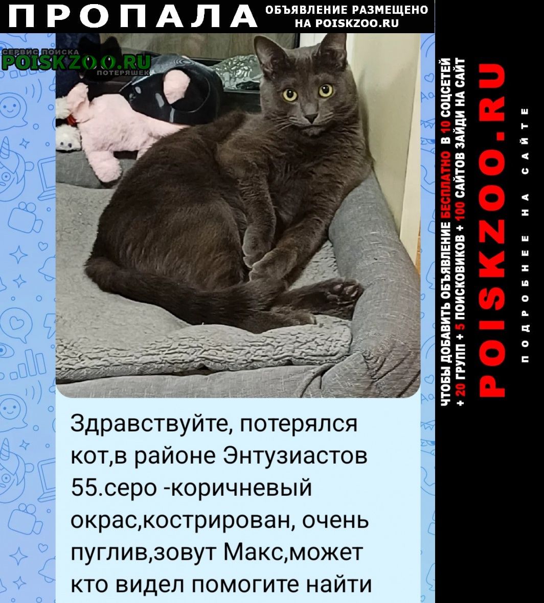 ���� ������ ��� ������������, . ������ ����