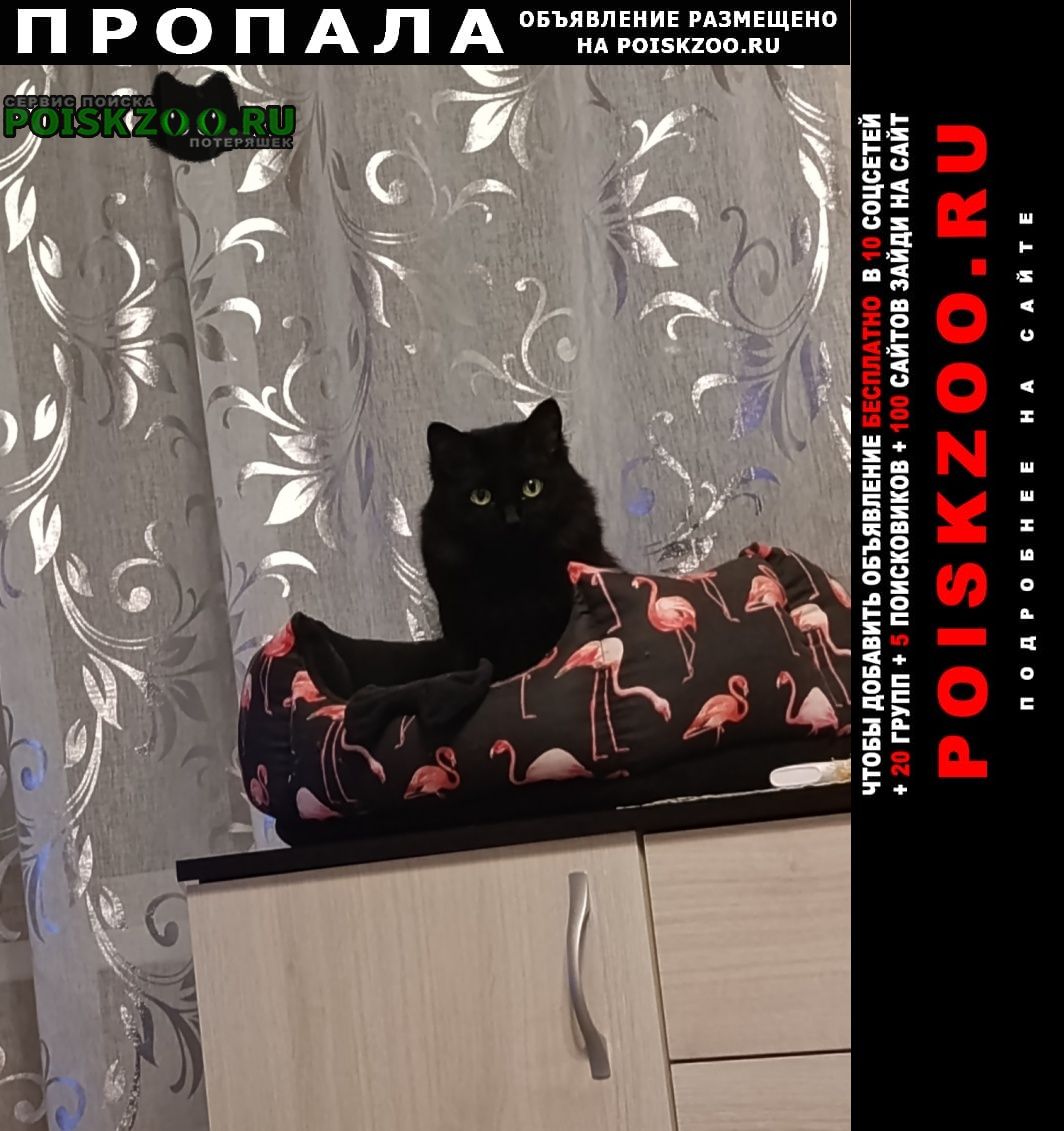 ���� ������� ����� ���������� �������� ����� ����� ������ �