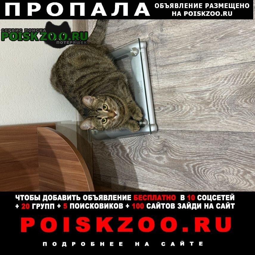 ���� ������� �����