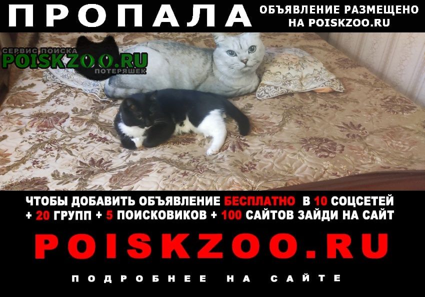 ���� ������ ��� �����-����� ���, ��������������