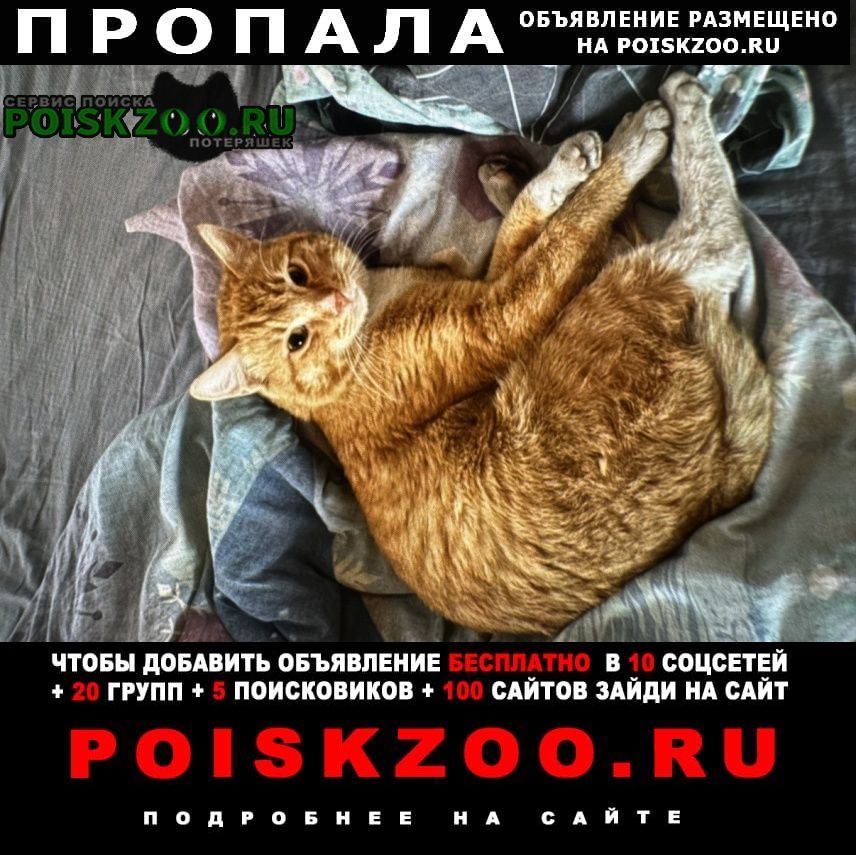 ���� ������ ��� ������ ������������ �������