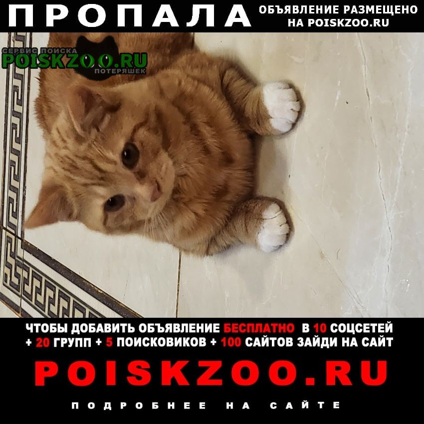 ���� ������ ��� ���������� ������������� ����