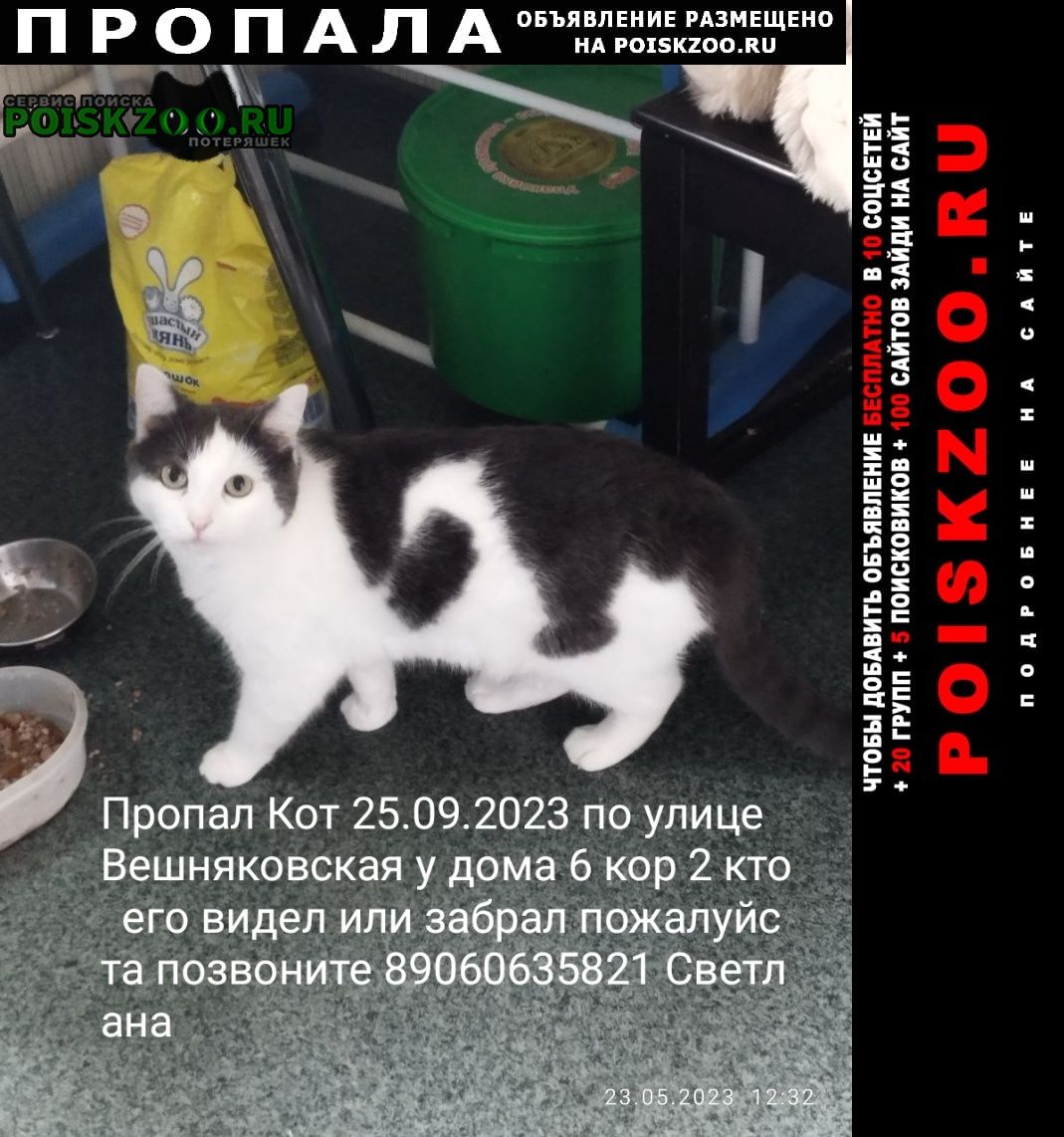 Москва Пропал кот ищу кота