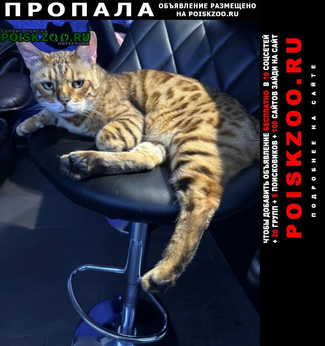 ���� ������ ���, ����������� ������.