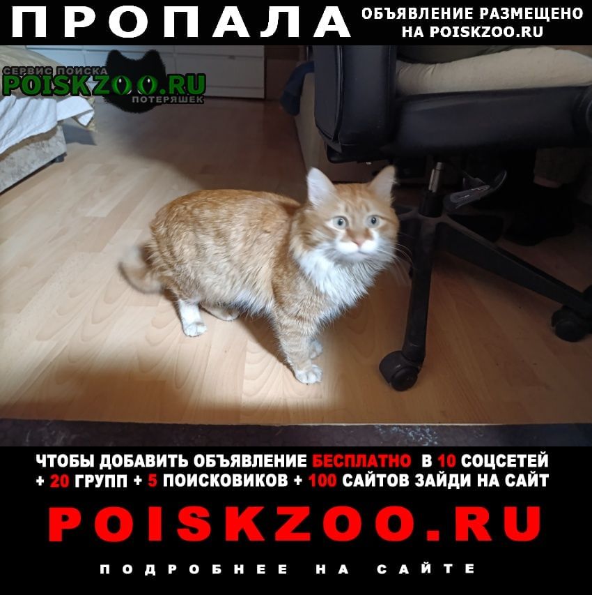 ���� ������ ��� ���