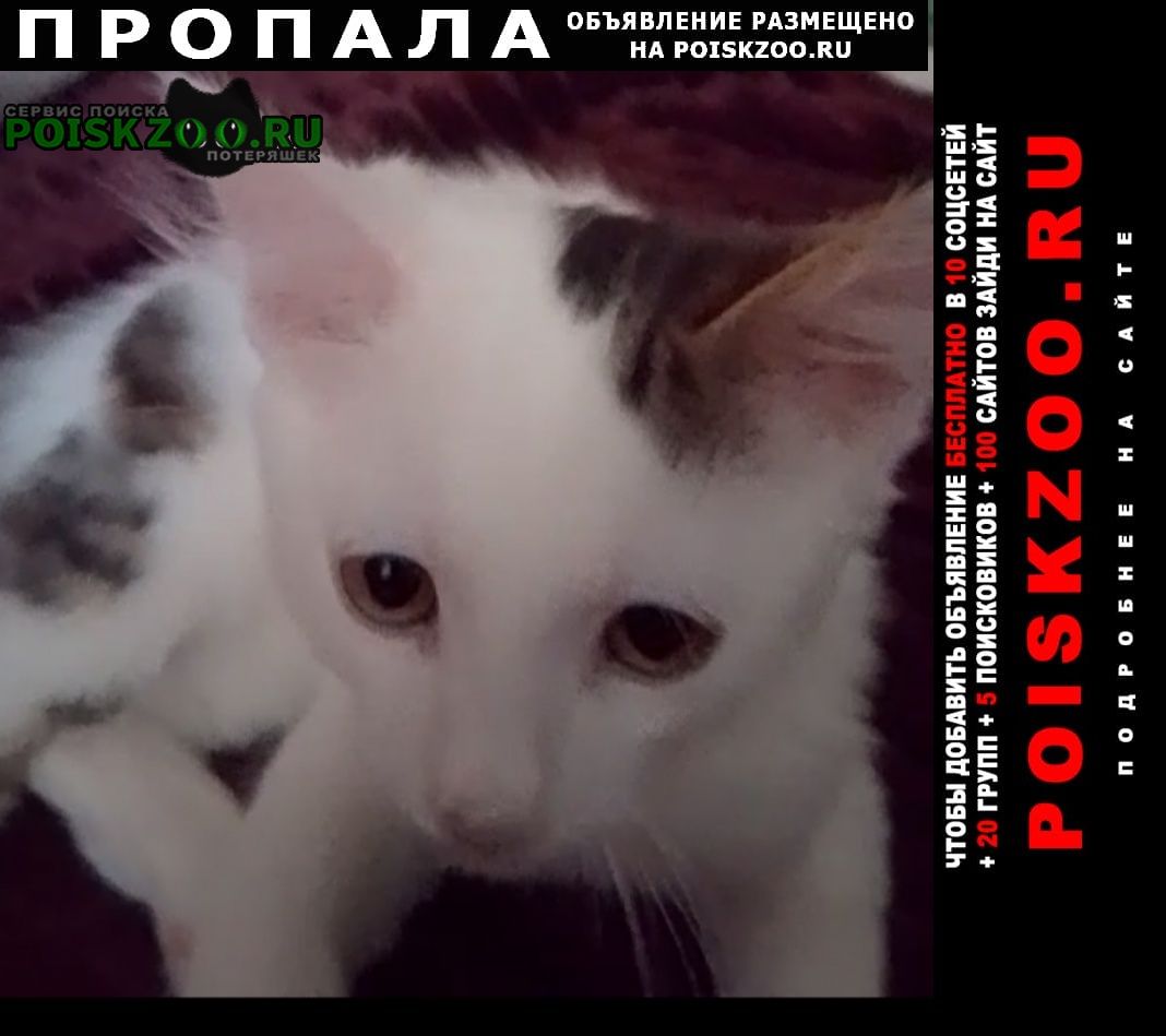 ���� �������� ����� ������ ���