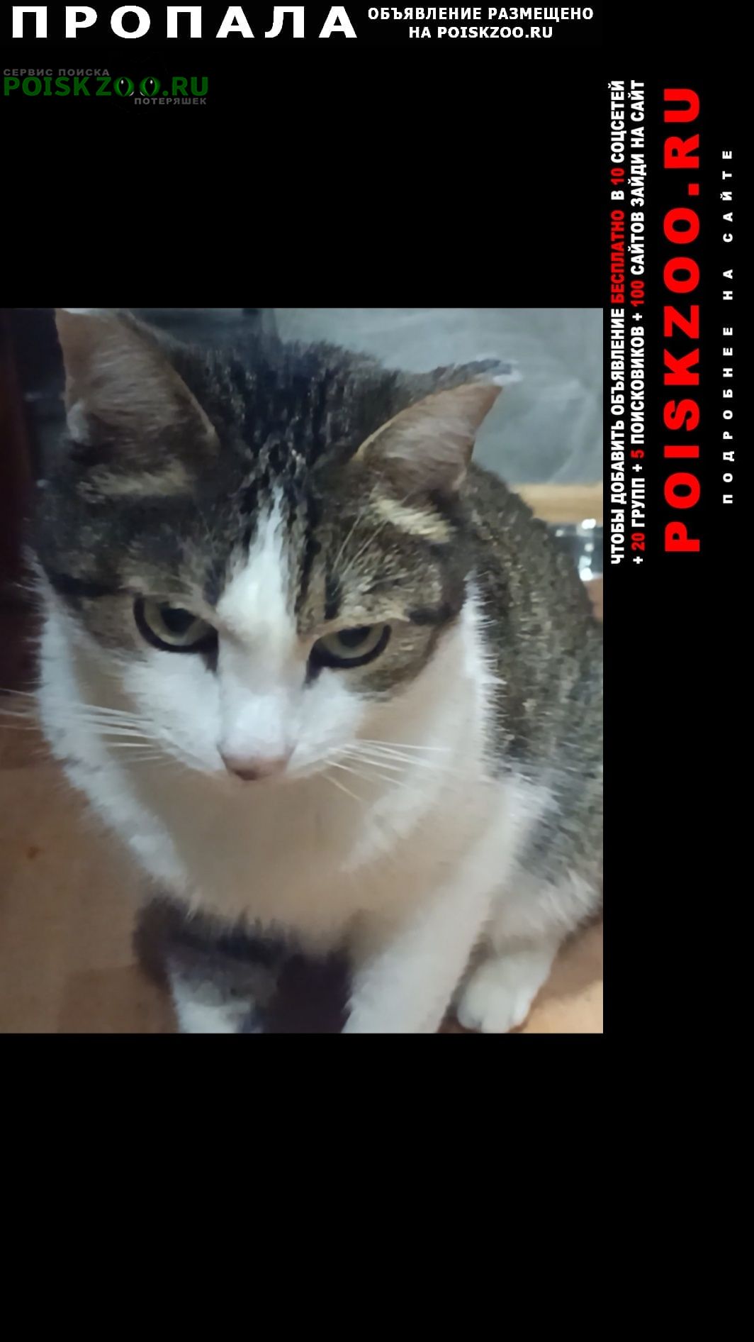 ���� ������ ���