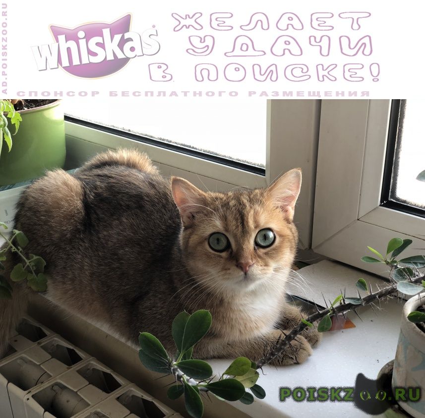 ���� ������ ���