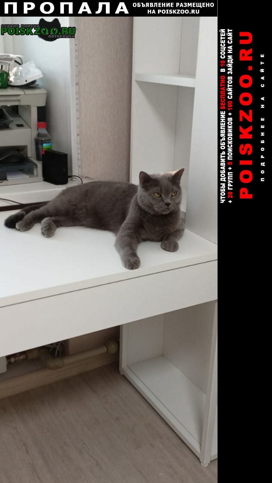 ���� ������ ��� ��������