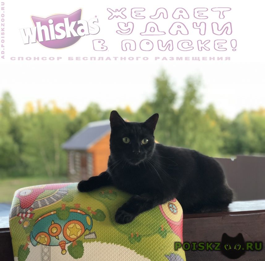 ���� ������ ����� ������