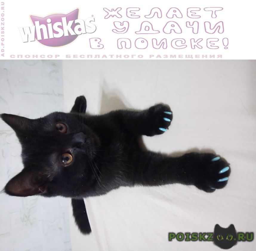 ���� ������� ����� �������