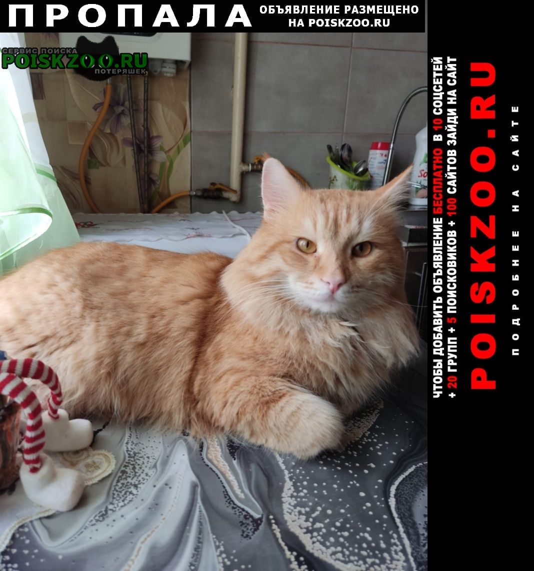 ���� ������ ���