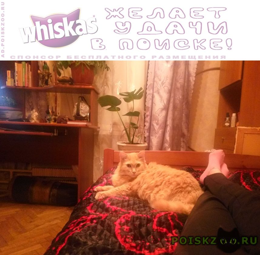 ���� ������ ���