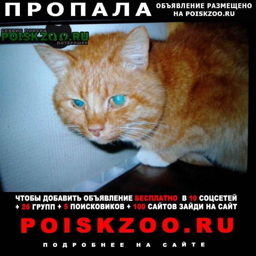 ���� ������ ��� ����� ��� ����