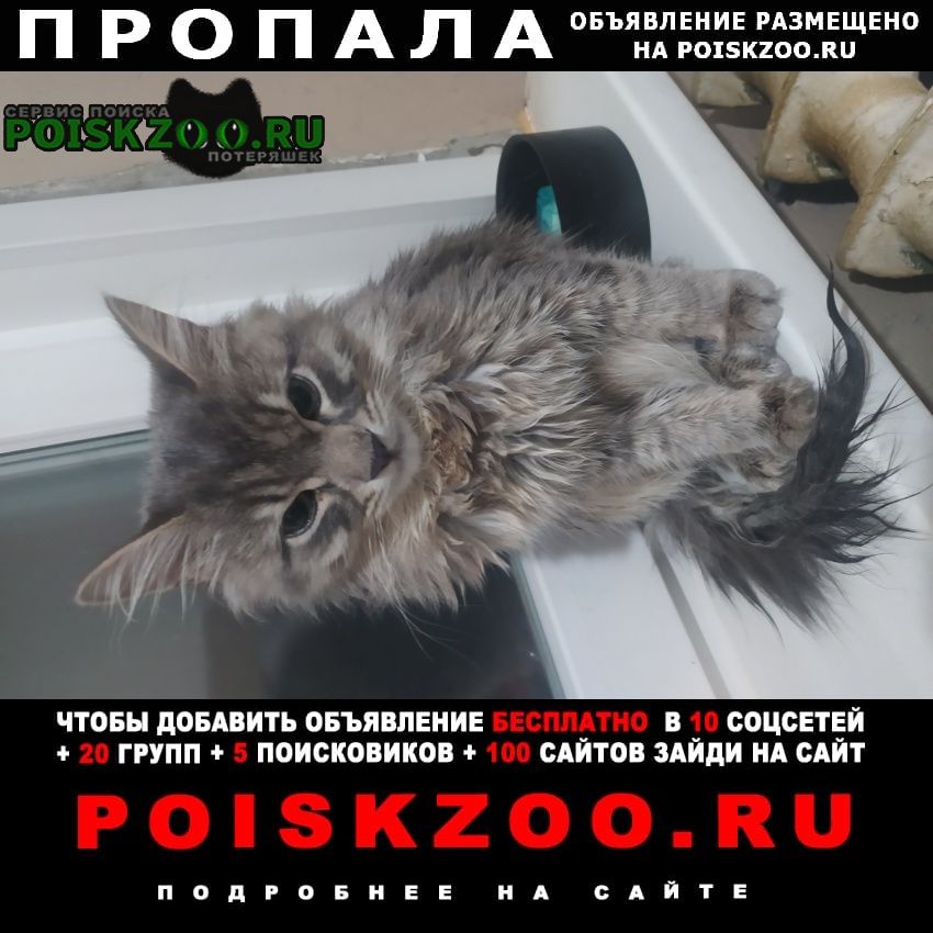 ���� ������ ��� ������