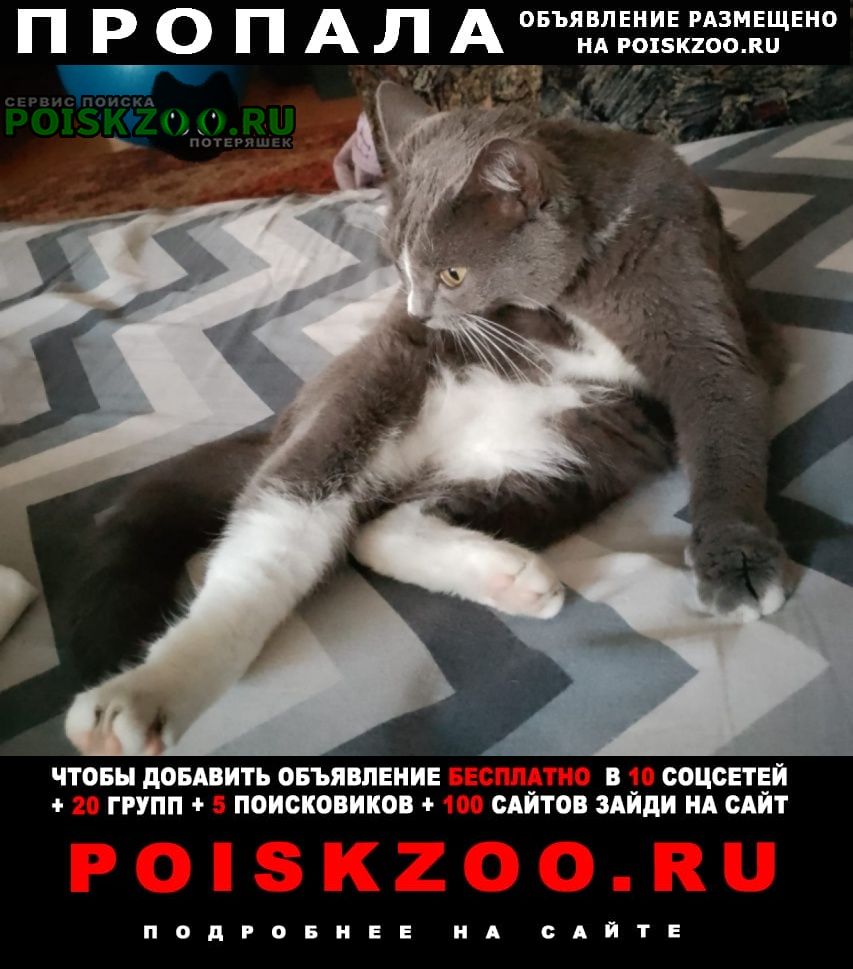 ���� ������� �����