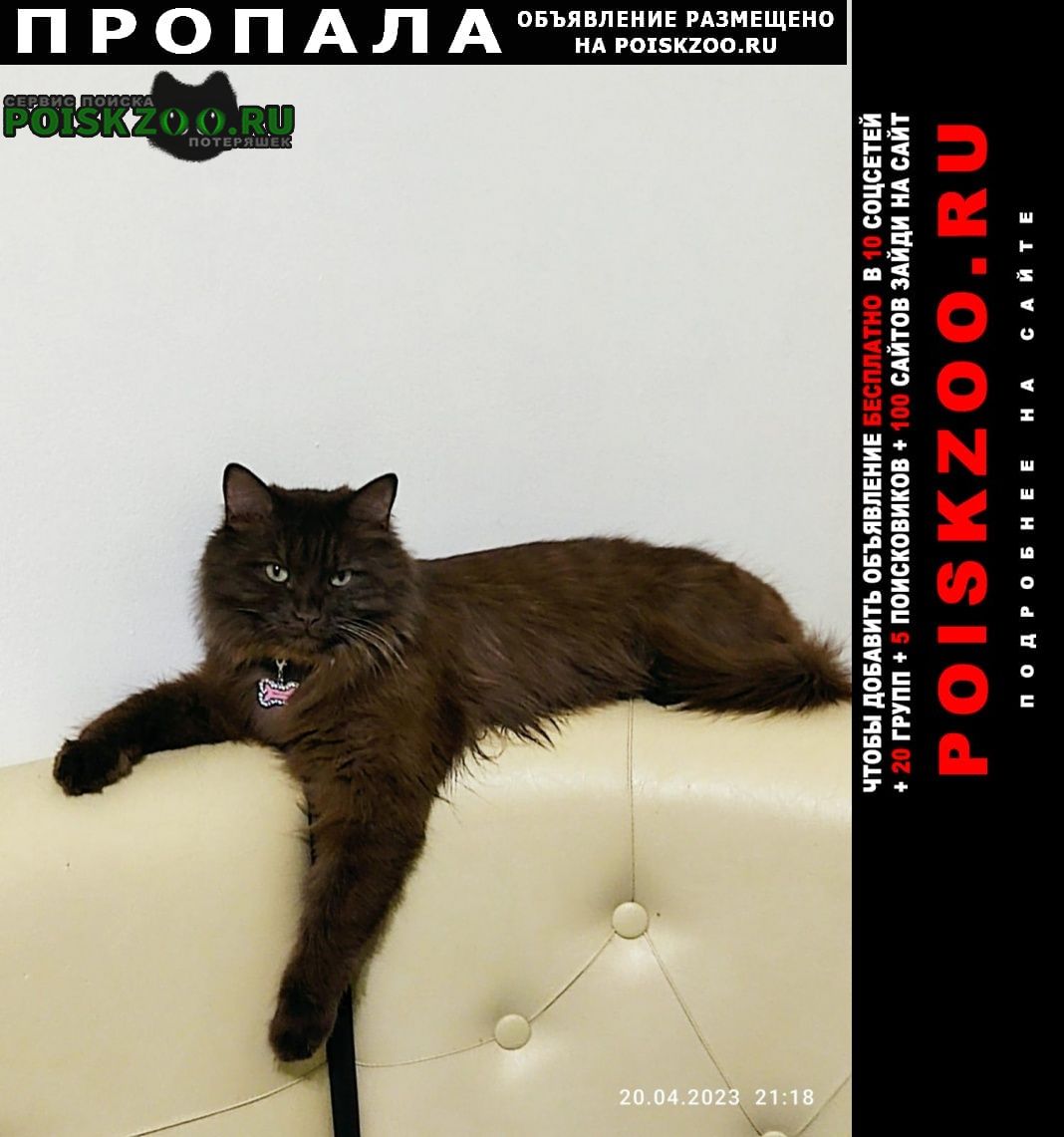 ���� ������ ���