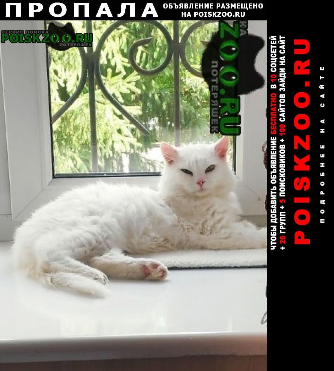 ���� ������ ���