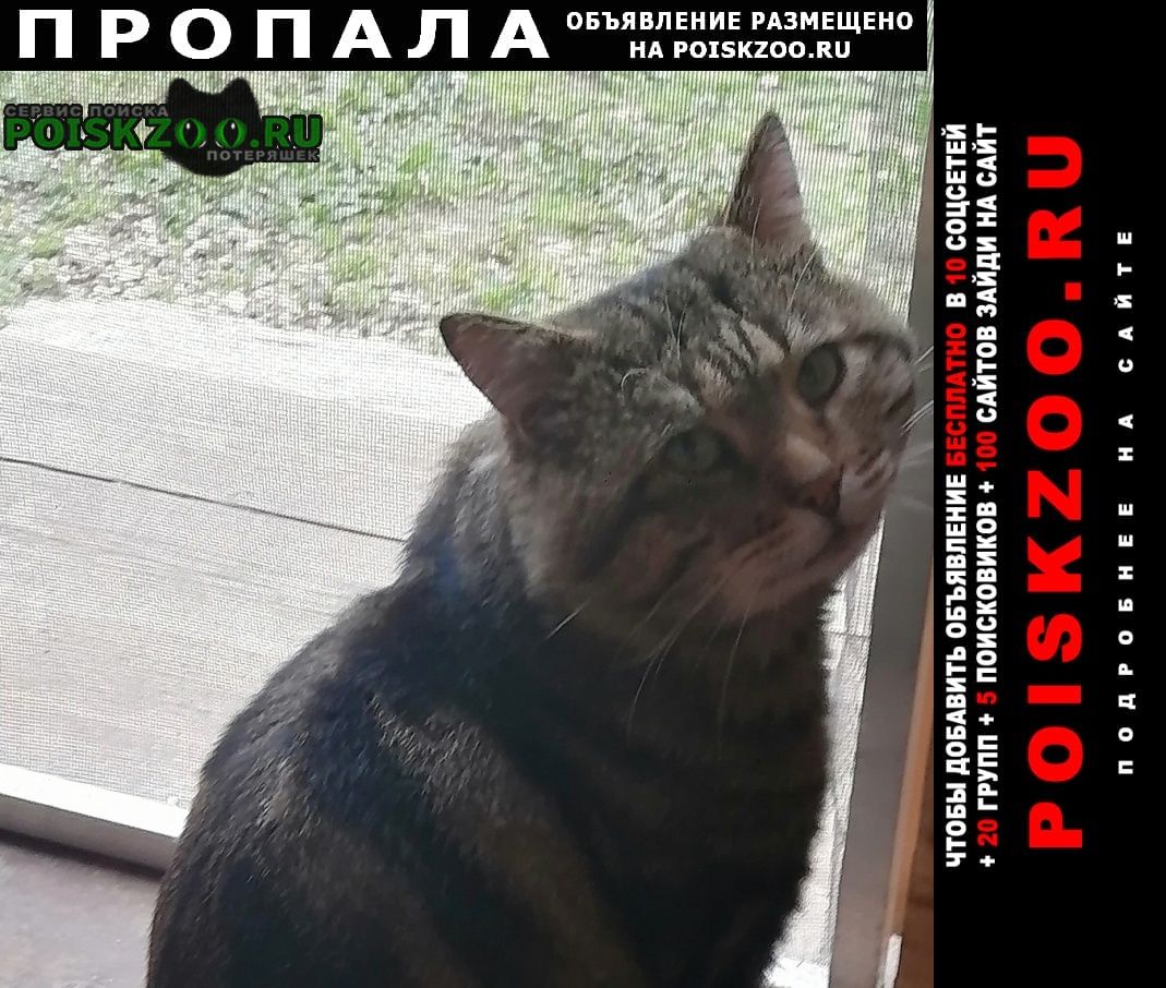    24. 04   