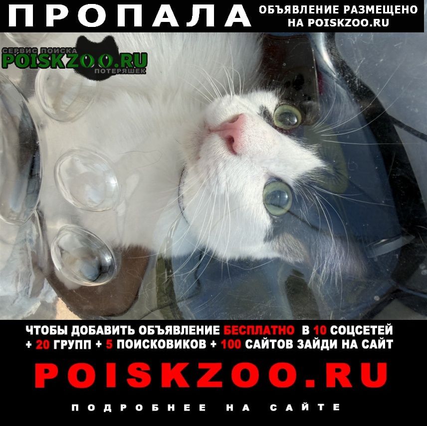 ���� ������ ��� ���������� ��������������