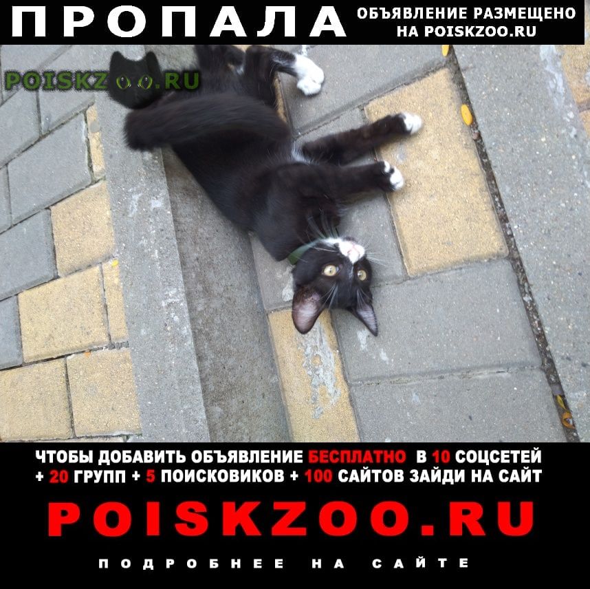 ���� ������ ��� �������