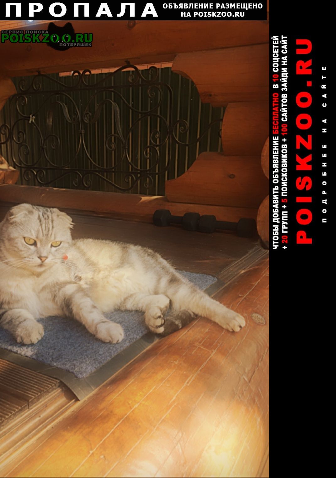 ���� ������ ��� ��� ������