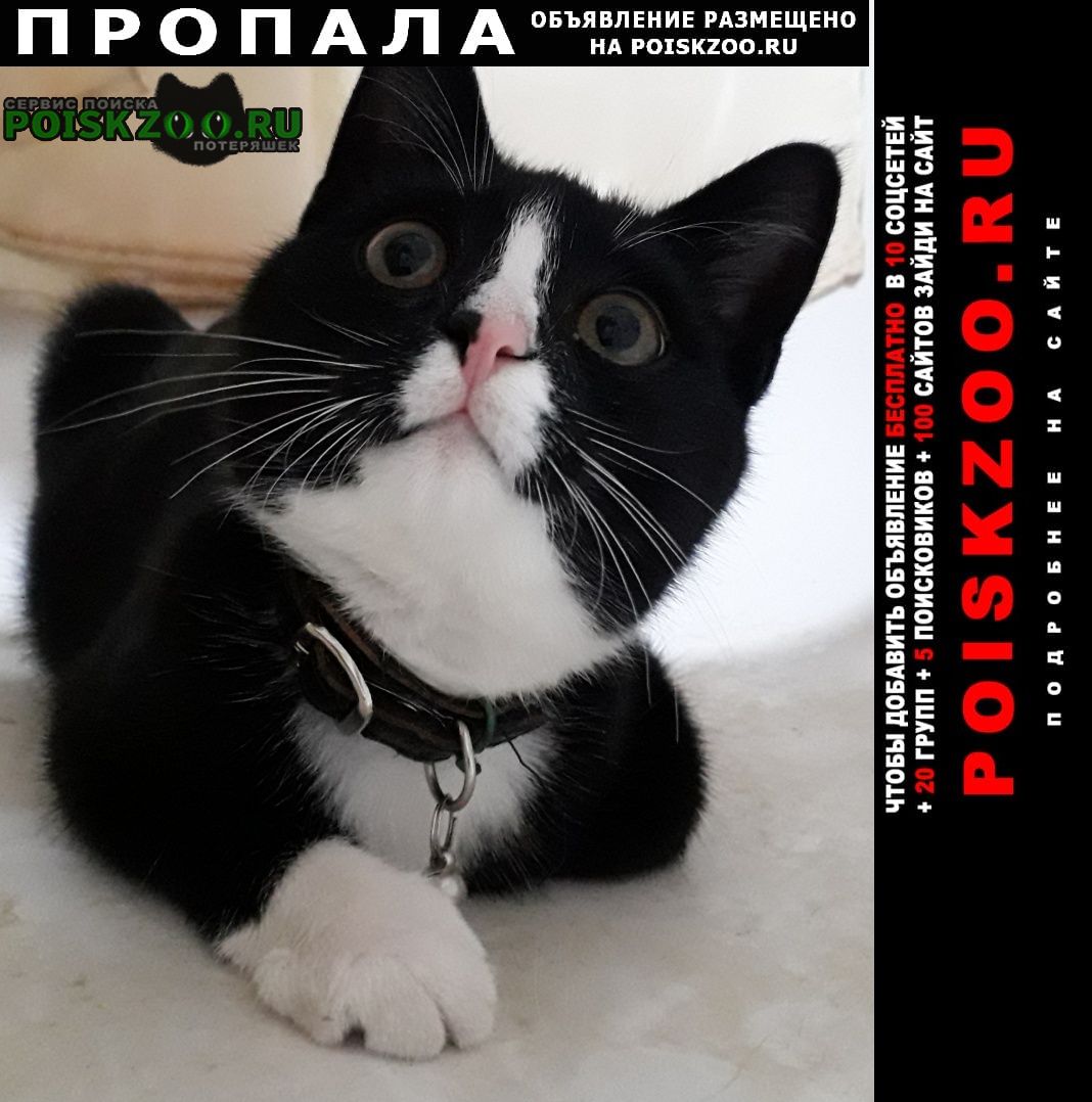 ���� ������ ���