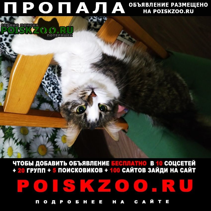 ���� ������� ����� ��������