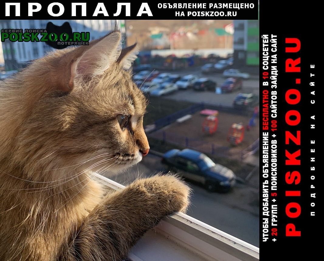 ���� ������� ����� ������������ �����