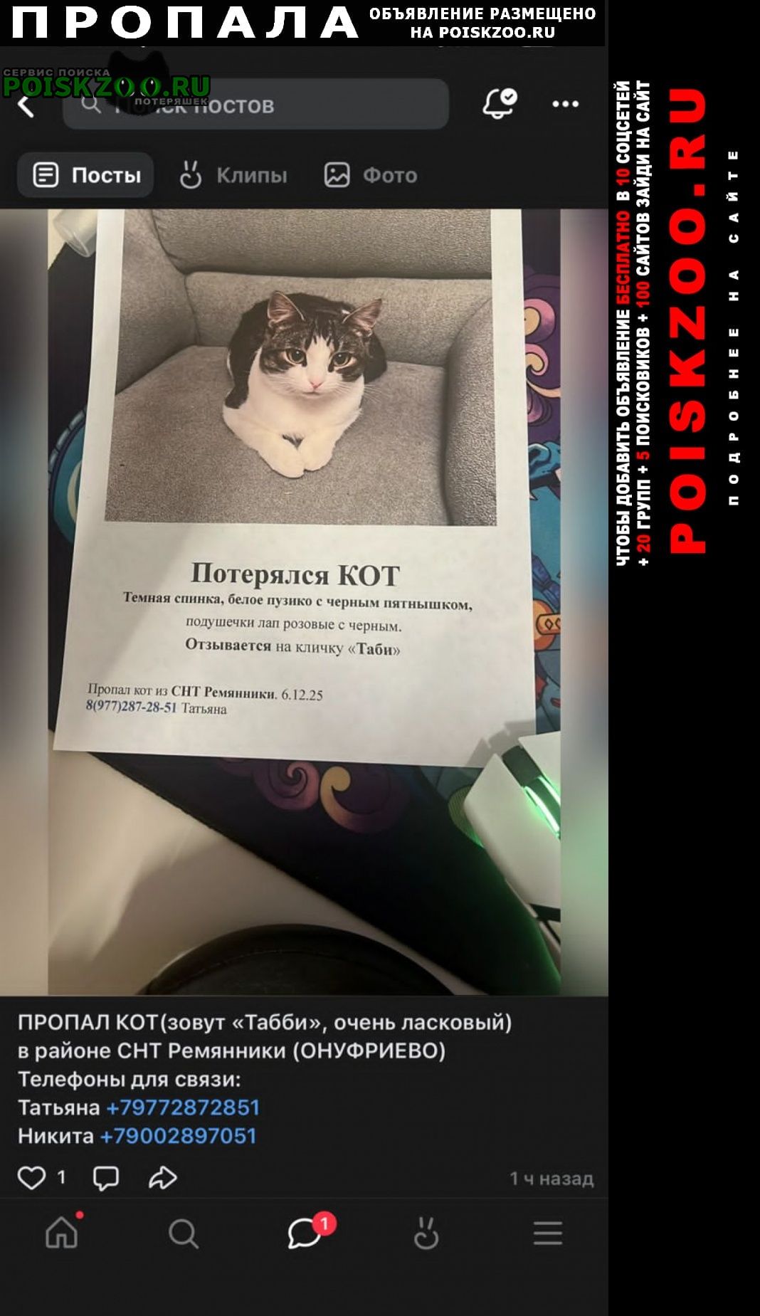 ���� ������ ���