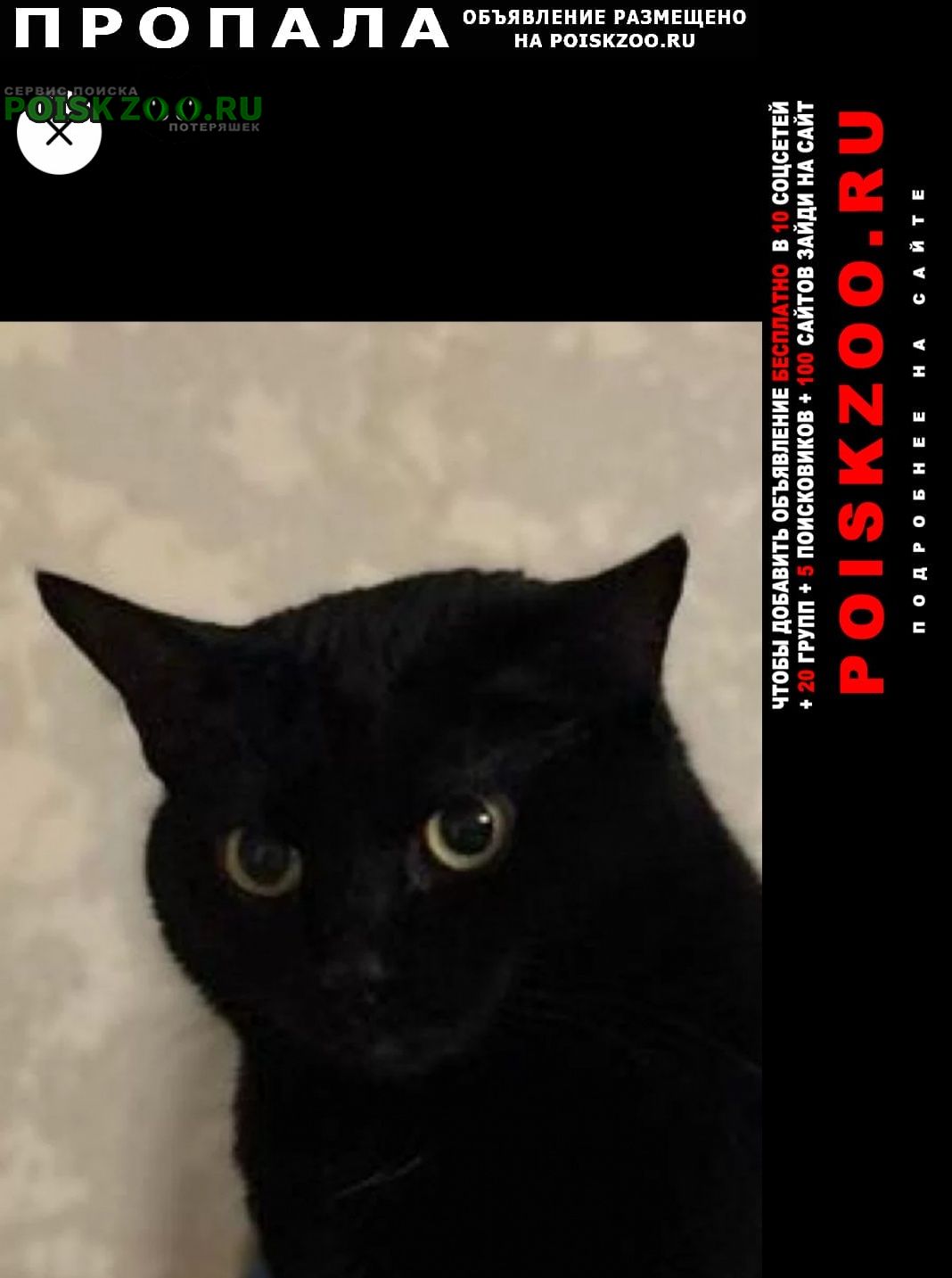 ���� ������ ���