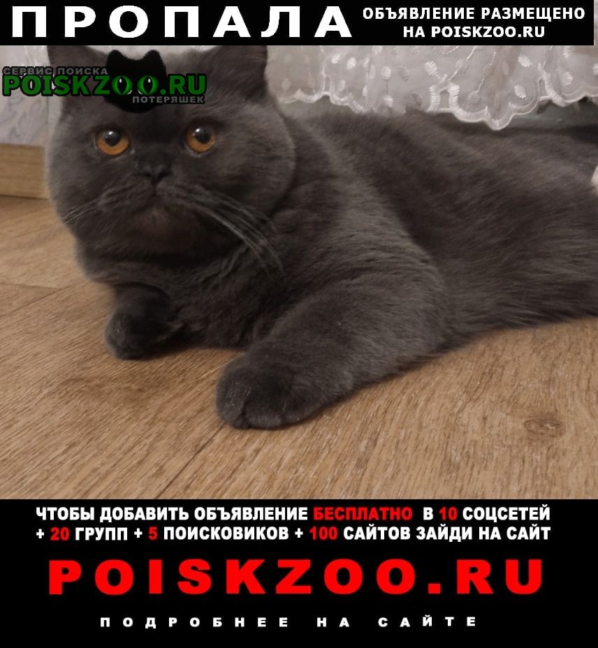 ���� ������ ��� ��������� ���. ������ �����������