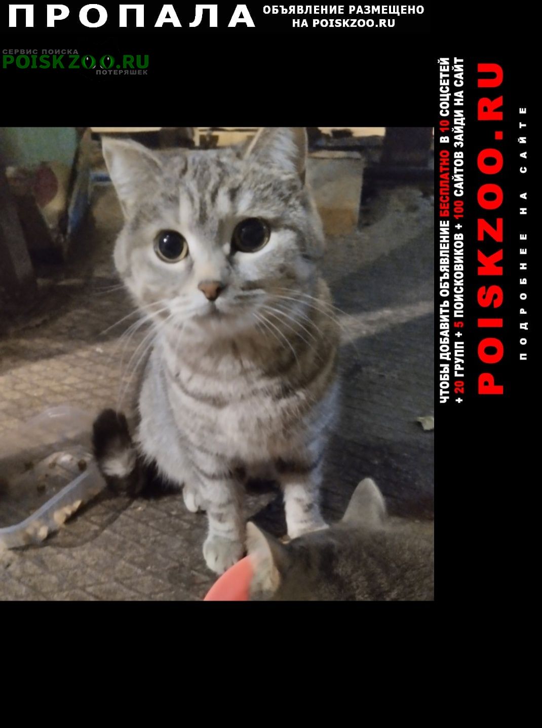 ���� ������� ����� ���. ����������� �� ������������