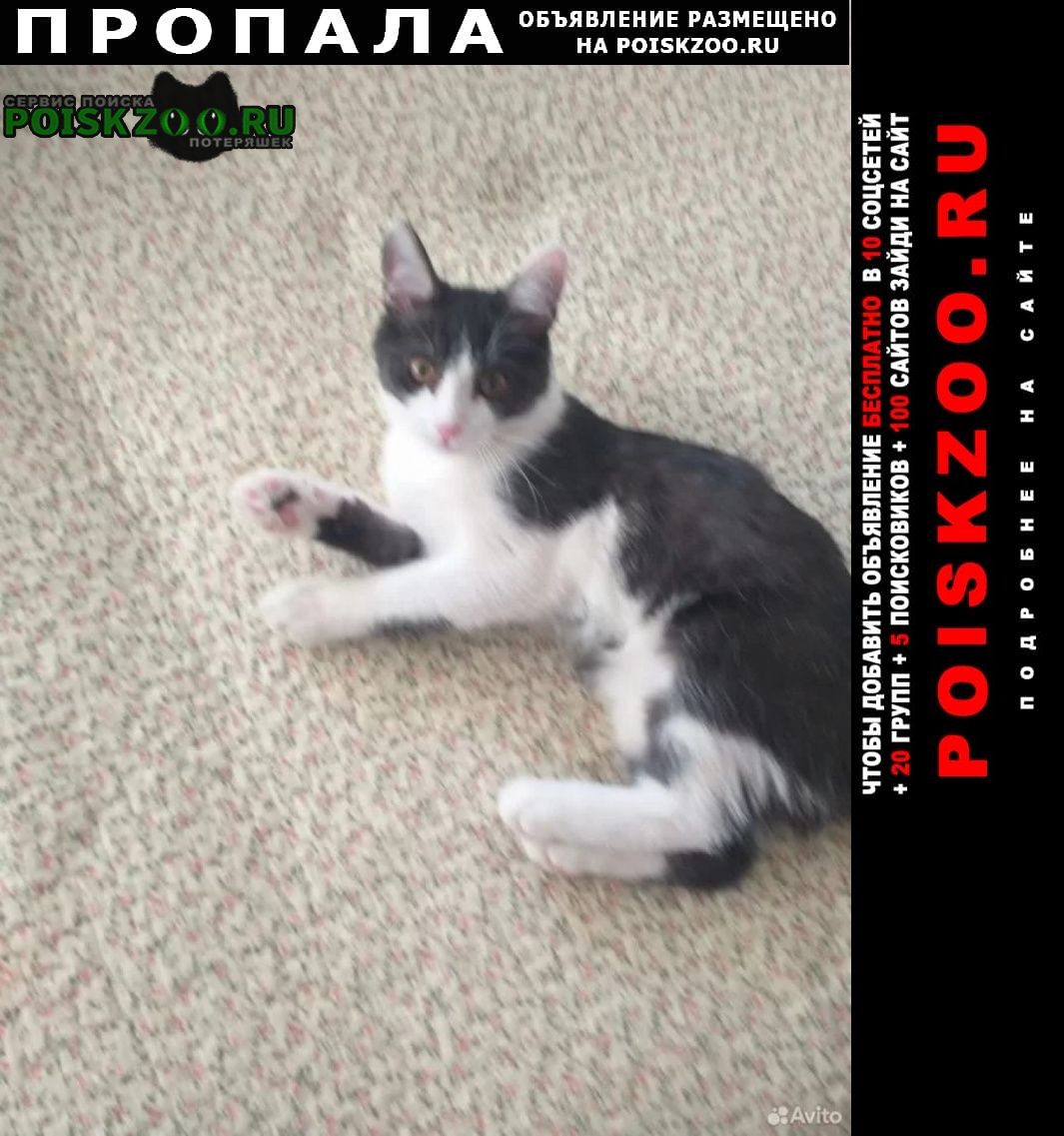 ���� ������ ������