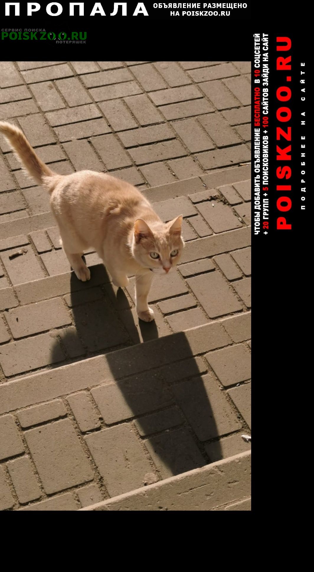 ���� ������ ���