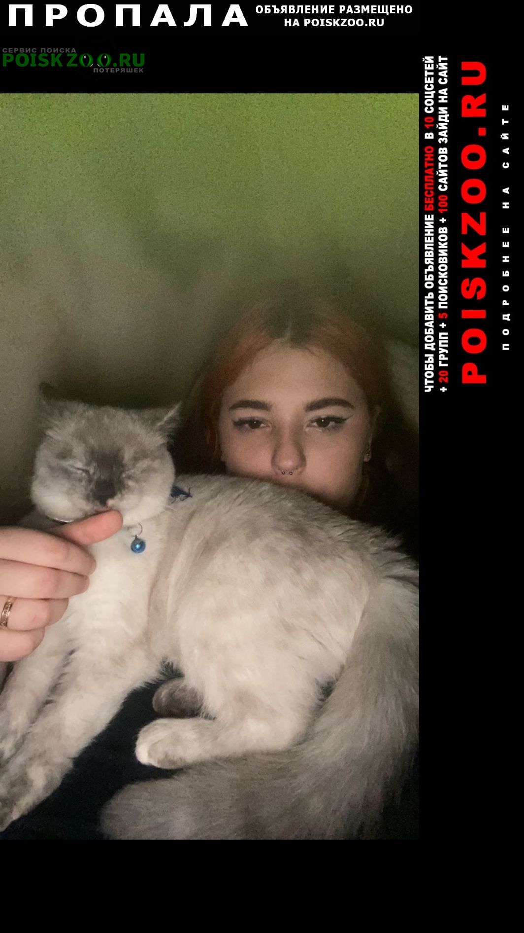 ���� ������� �����