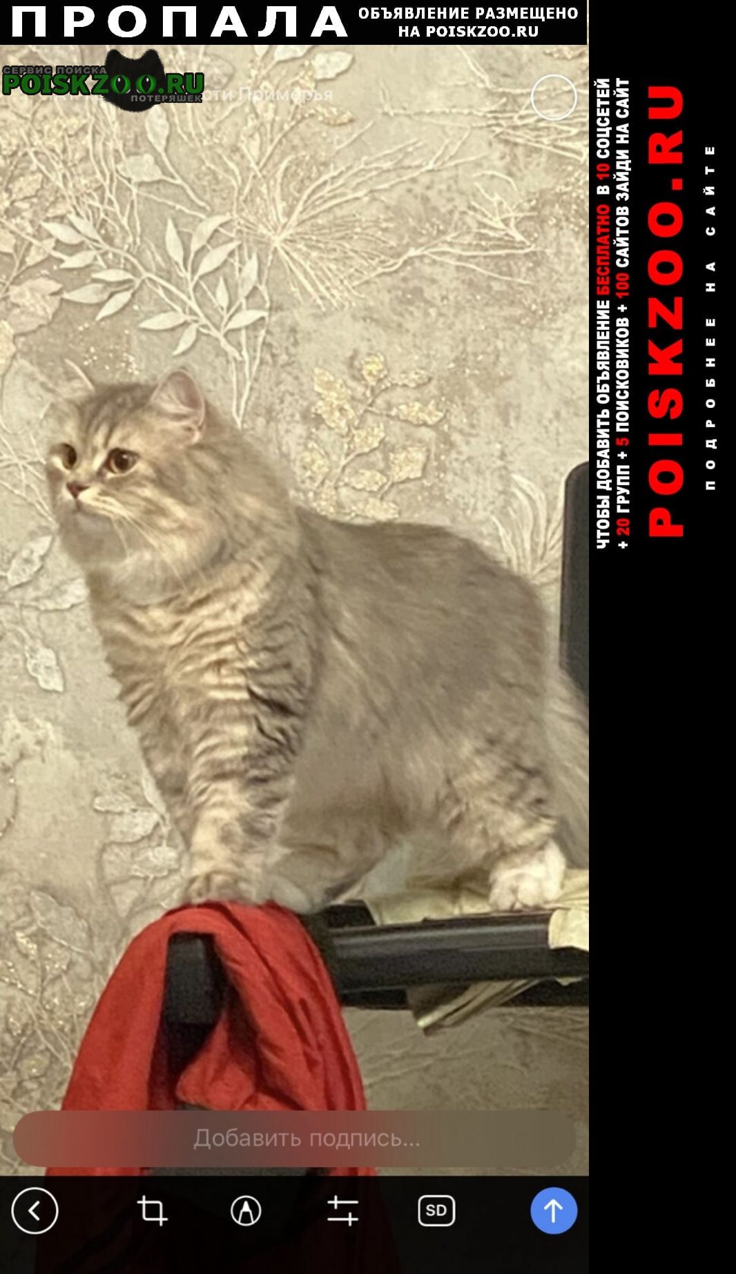 ���� ������� ����� ���������� ��������������