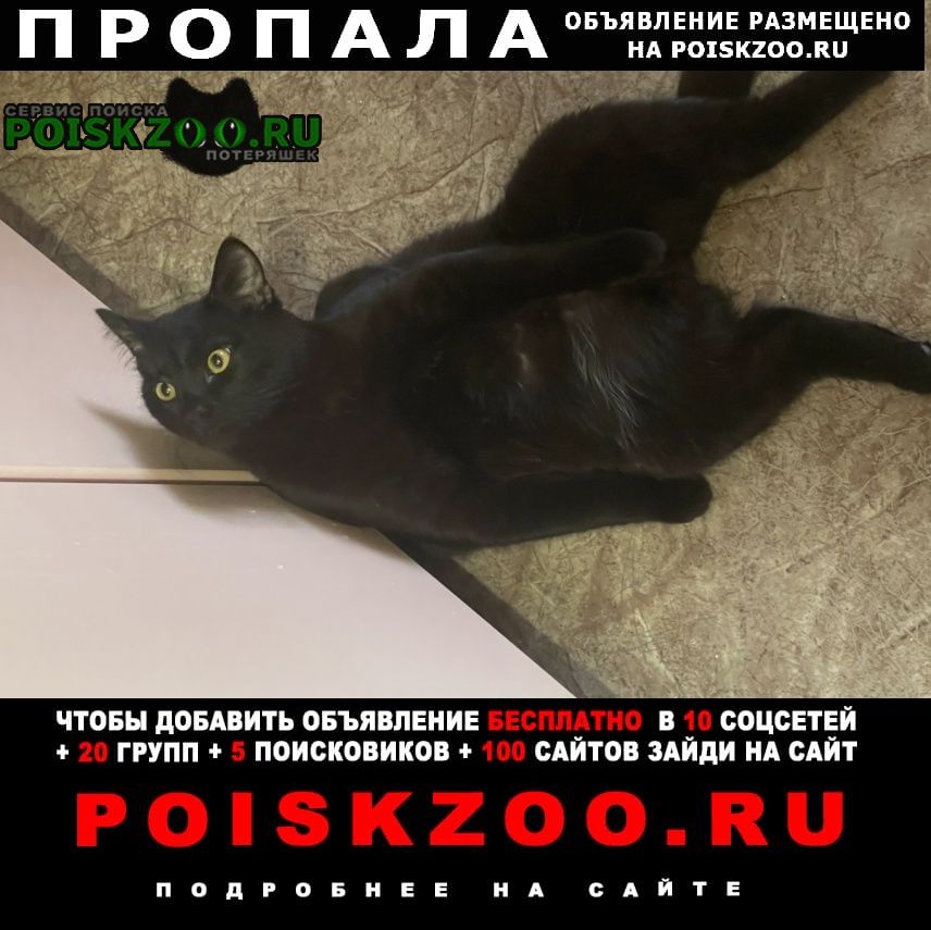 ���� ������ ���