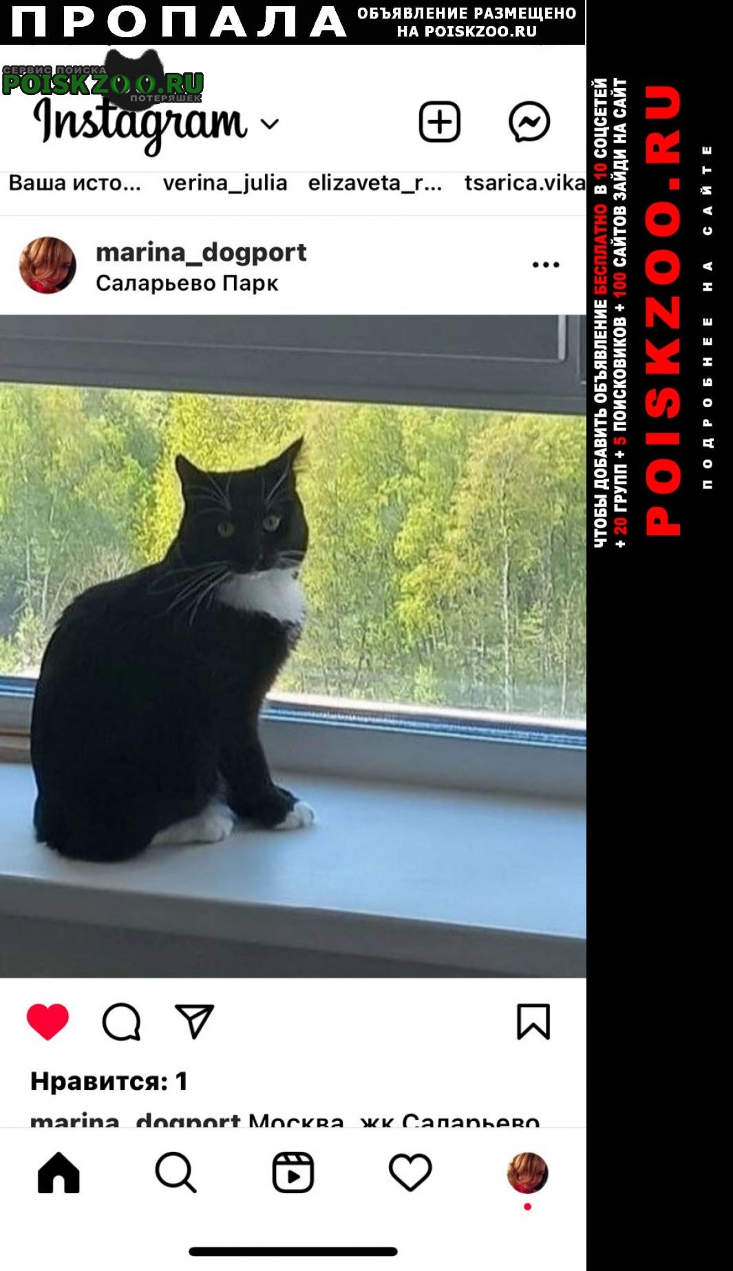 Москва Пропал кот жк саларьево парк