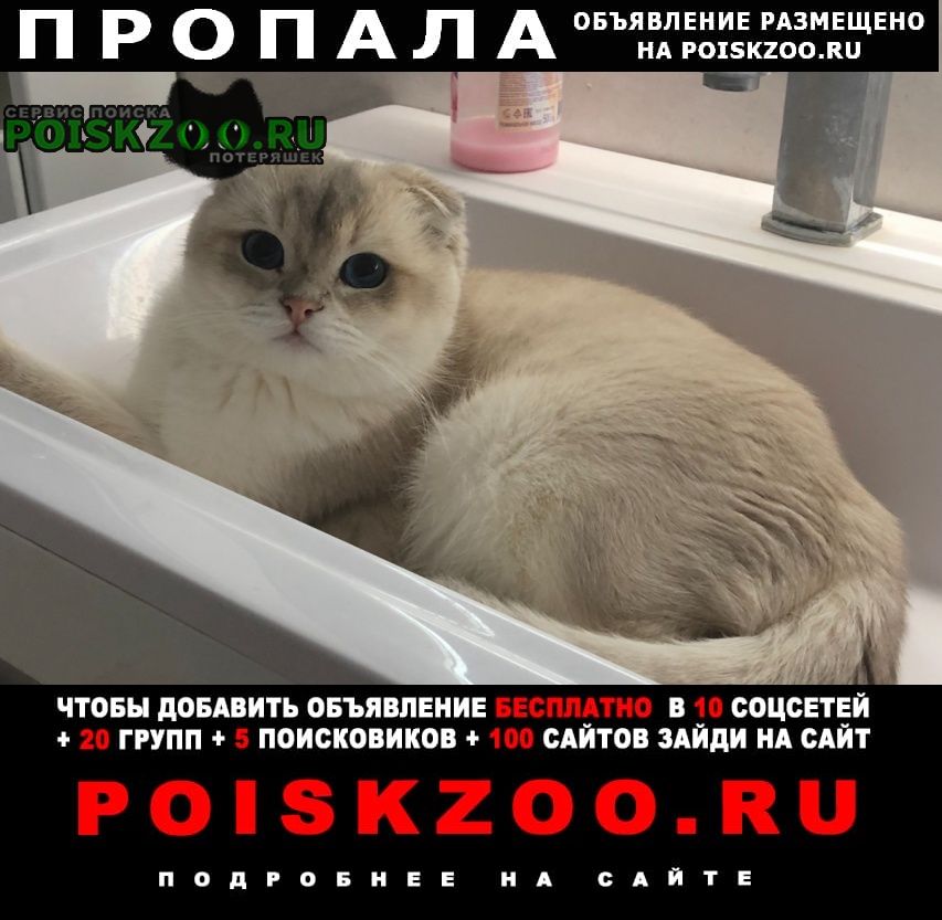 ���� ������ ���