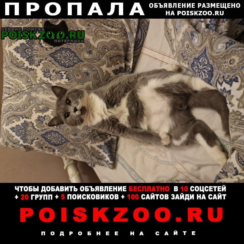 ���� ������ ��� ��������� ����� � ������ �������