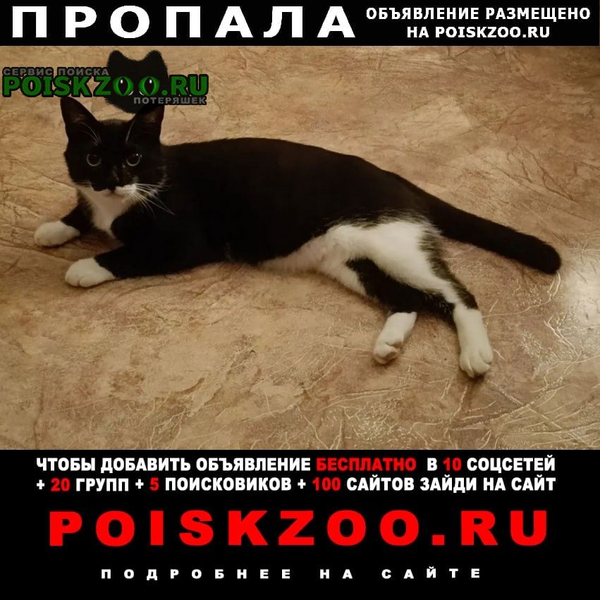 ���� ������ ���