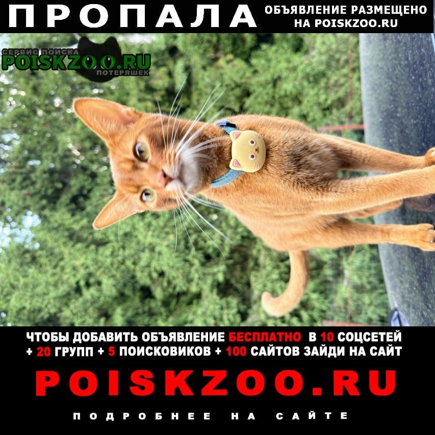 ���� ������ ��� ����������� ������