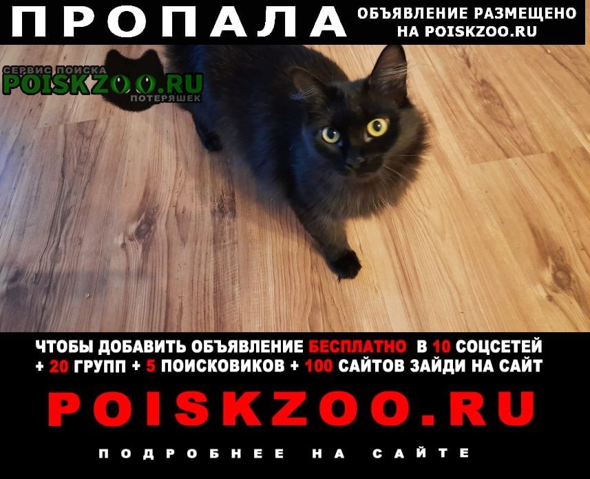 Пропала кошка черная бухарская Челябинск