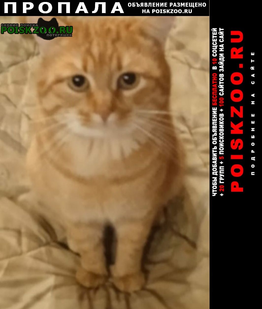 ���� ������ ��� �����