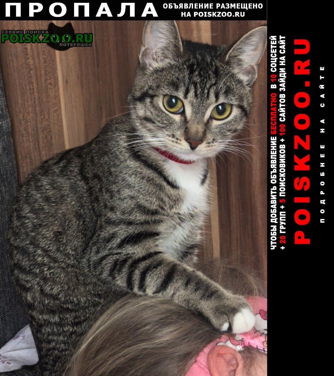 ���� ������� �����