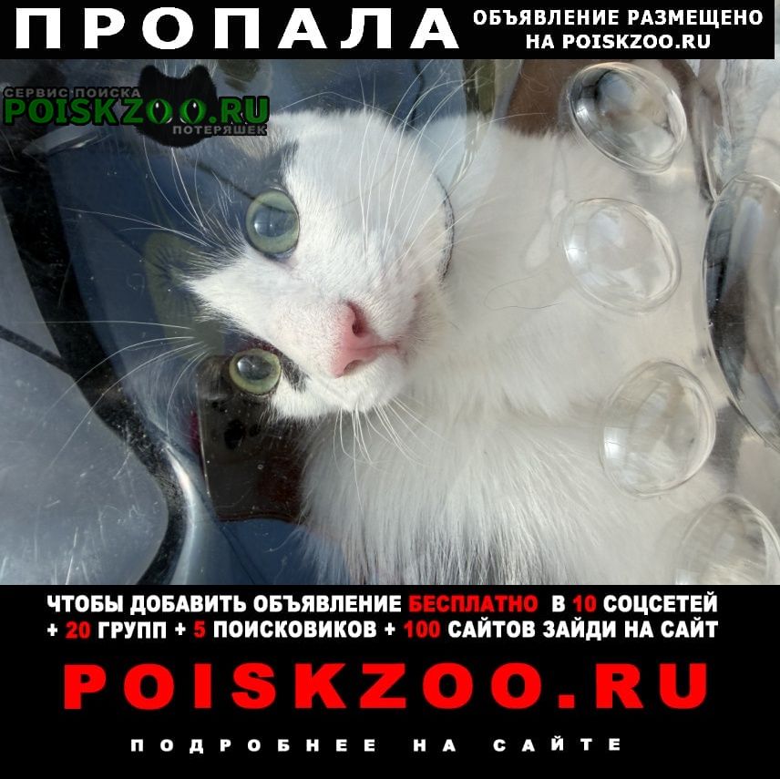 ���� �������� ����� �� ������ ����