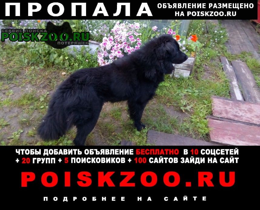 ���� ������� ������ ������