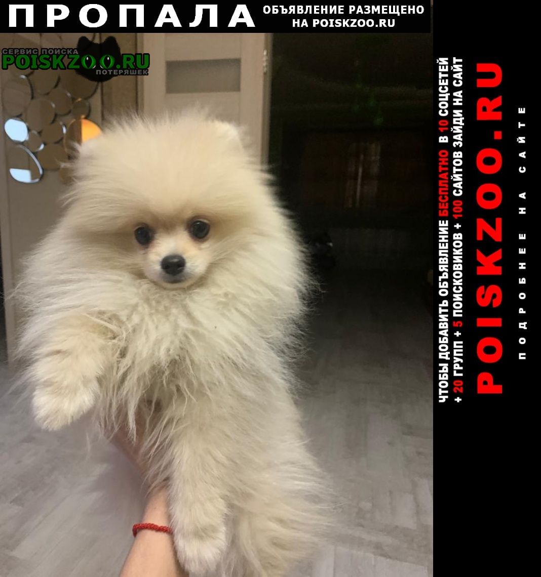 ���� ������� ������ ������