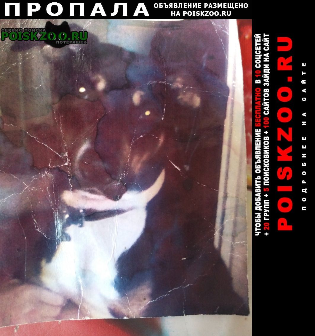 ���� ������� ������ ����� ���������